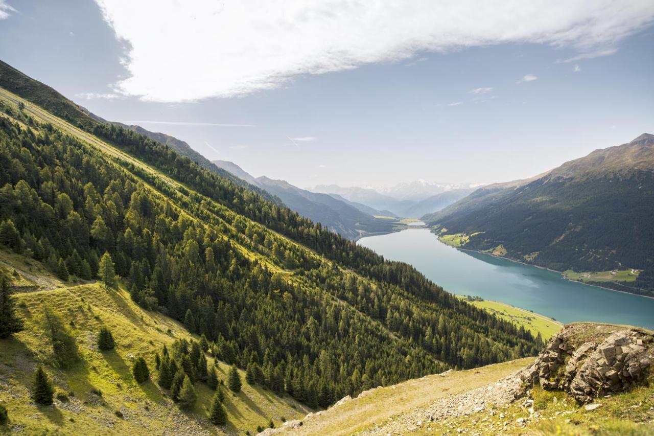 Panoramic Suites Winzerhoehe Schenna Eksteriør bilde